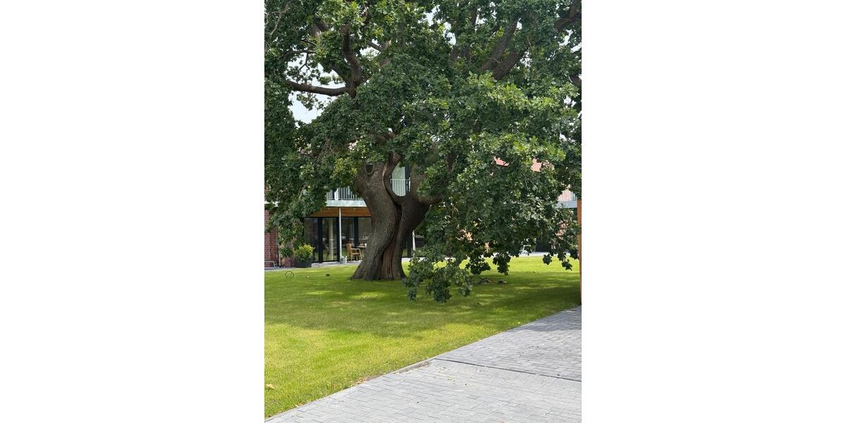Neubau Wohnung in Niebüll zu vermieten 3 zimmer