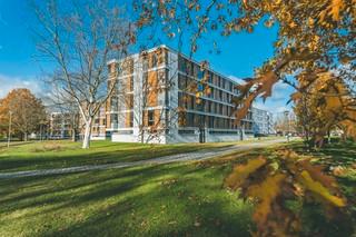 Erdgeschoßwohnung Wolfsburg - 2 Zimmer, 69 m&sup2;, 855&euro; | Angebot:25810437