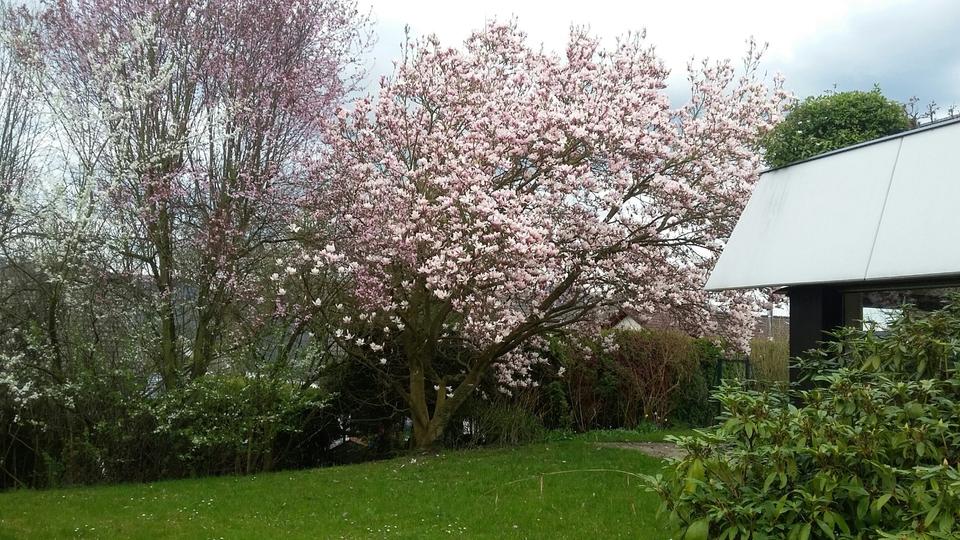 Erdgeschoßwohnung Bonn Bad Godesberg - 3 Zimmer, 151 m&sup2;, 2.280&euro; | Angebot:25807104