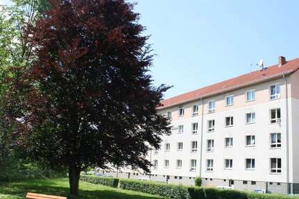 Wohnung zum Mieten in Pirna 390,72 € 59.2 m² 3 zimmer