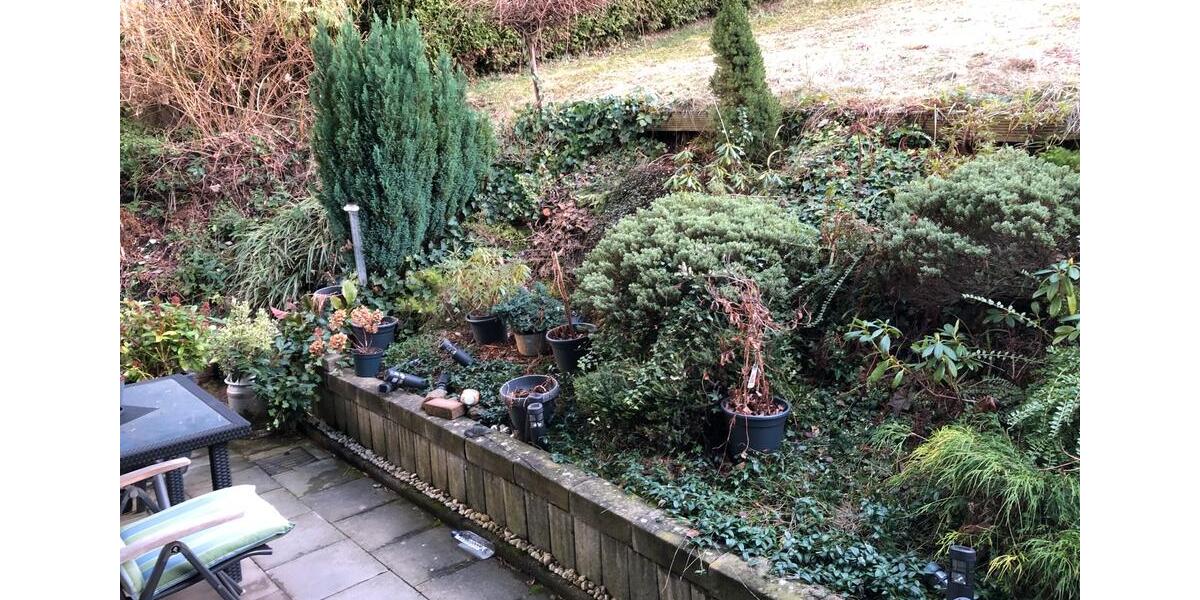 Erdgeschoßwohnung Leichlingen (Rheinland) - 2 Zimmer, 62 m&sup2;, 650&euro; | Angebot:24555317