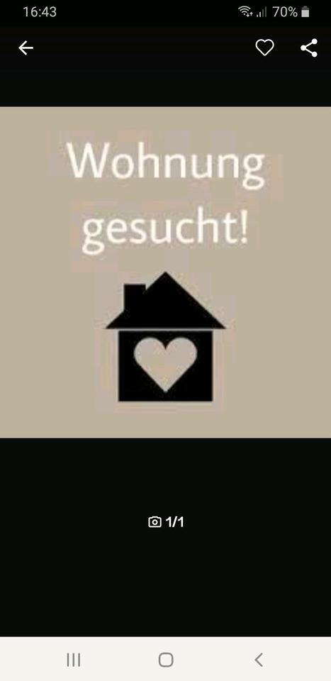 Wohnung oder Haus zimmer