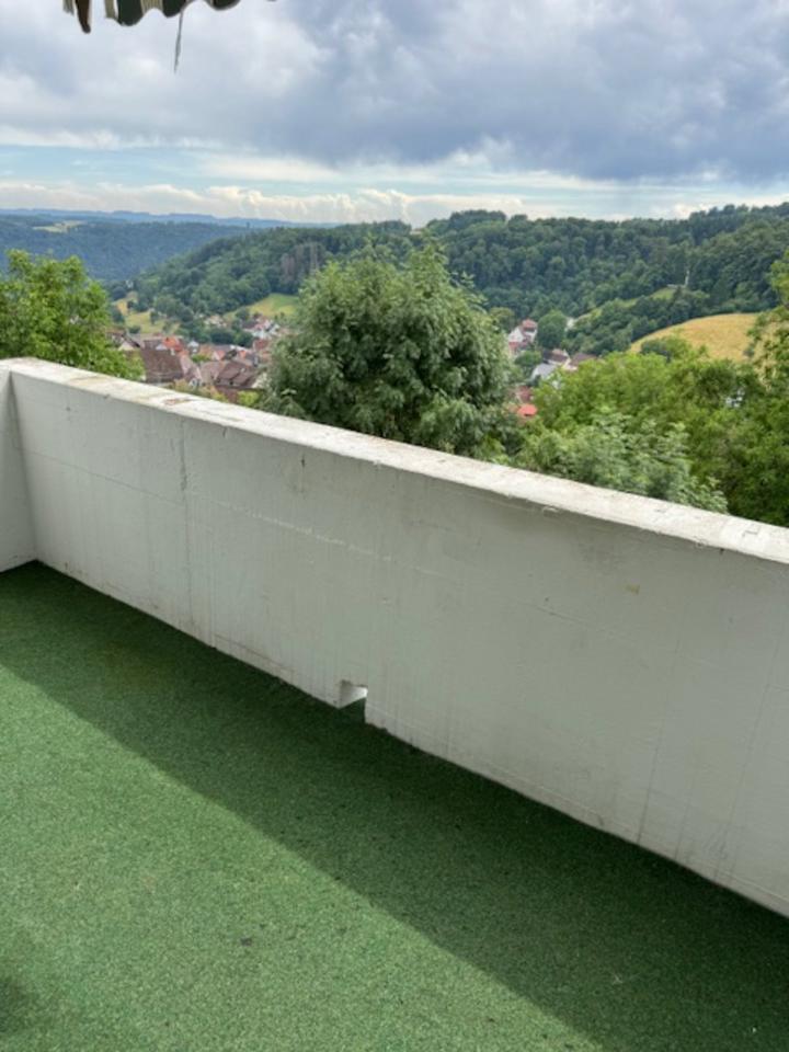 3,5 Zimmer, EBK, Balkon, Garage, Traumaussicht Horb Rexingen