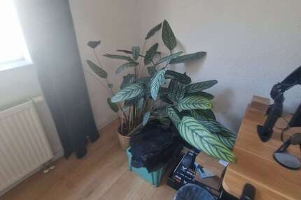 Wohnung Aachen Aachen-Mitte - 1.5 Zimmer, 25 m&sup2;, 417&euro; | Angebot:27231572