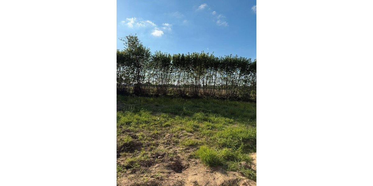 Doppelhaushälfte Hanerau-Hademarschen Hademarschen - 3 Zimmer, 75 m&sup2;, 1.000&euro; | Angebot:26676737