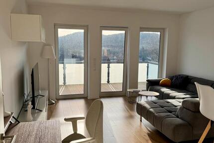 Top moderne und voll ausgestattete 2 Zimmer Wohnung in Arnsberg 2 zimmer