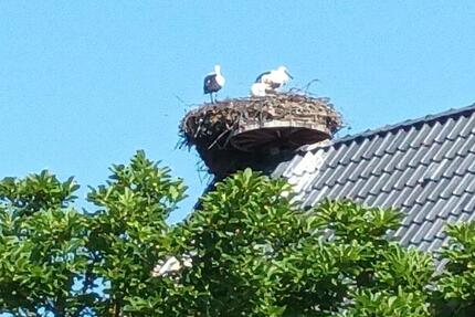 Terrassenwohnung, 3 Zimmer mit einzigartigem Blick über die Elbe 3 zimmer