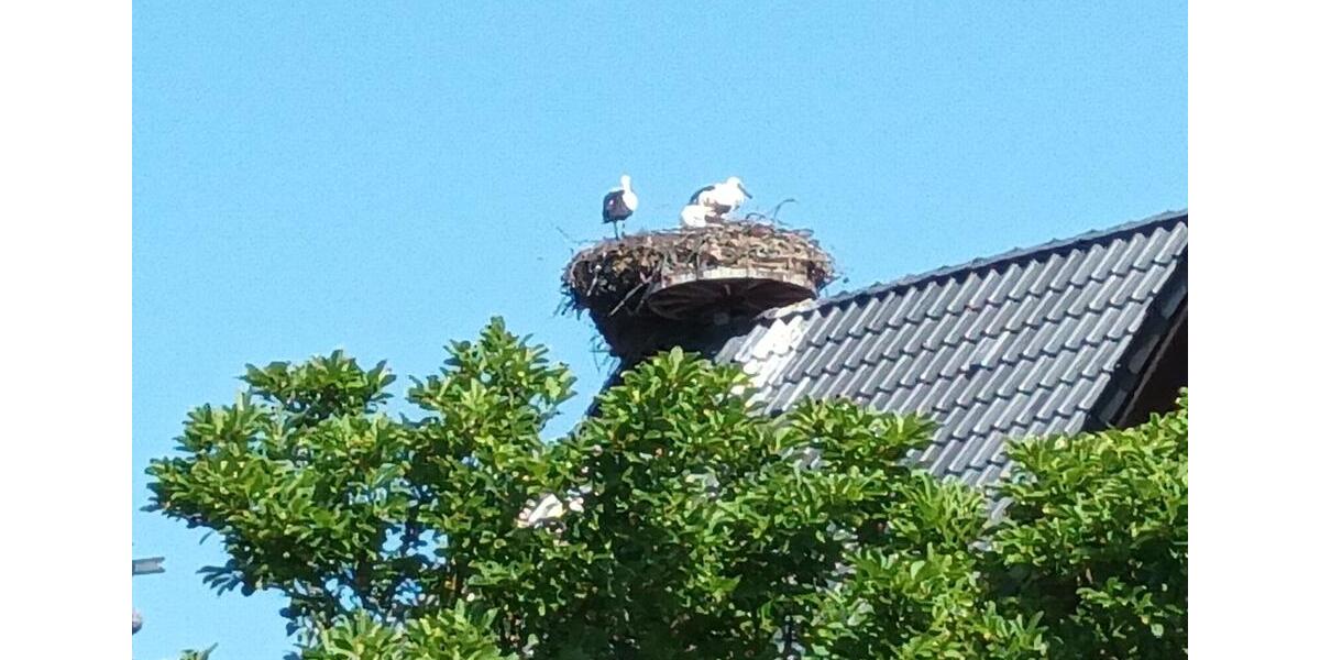 Terrassenwohnung, 3 Zimmer mit einzigartigem Blick über die Elbe 3 zimmer