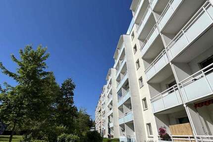 Wohnung zum Mieten in Chemnitz 307 € 56.29 m² 3 zimmer