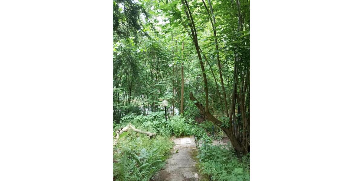 Einfamilienhaus Moritzburg - 2 Zimmer, 78 m&sup2;, 1.800&euro; | Angebot:24835471