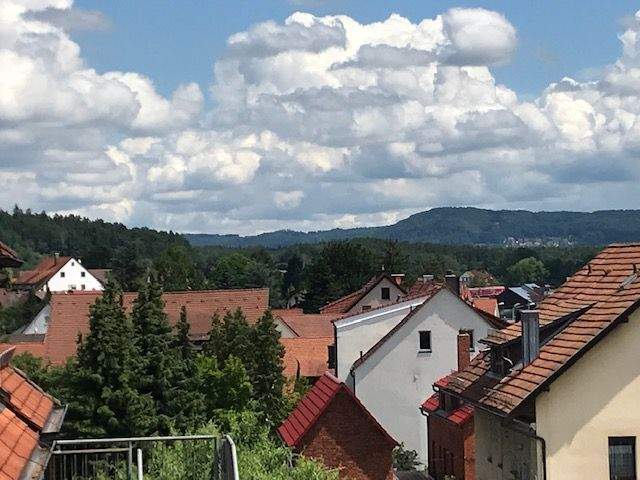 Wohnen über den Dächern von Lauf – helle 4,5-Zimmer-Dachwohnung mit Balkon & Weitblick 4 zimmer