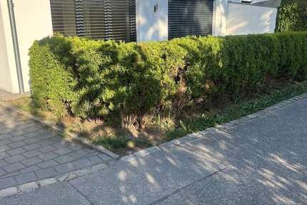 Wohnung Eggenfelden - 2 Zimmer, 55 m&sup2;, 600&euro; | Angebot:26732726