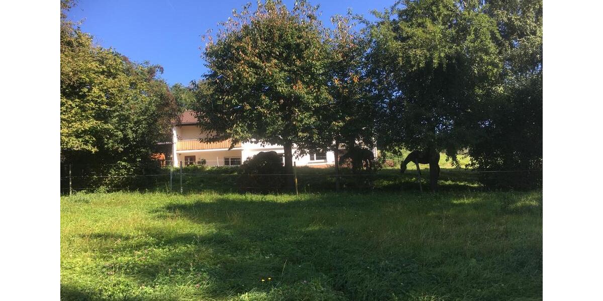 Etagenwohnung Laubach - 3 Zimmer, 70 m&sup2;, 380&euro; | Angebot:25252622