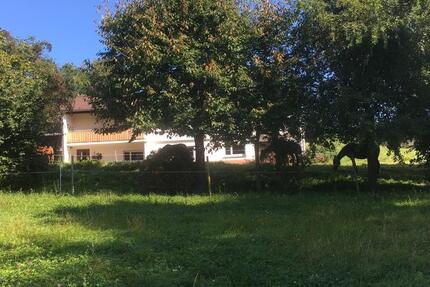 Wohnung Laubach - 3 Zimmer, 70 m&sup2;, 380&euro; | Angebot:25252622