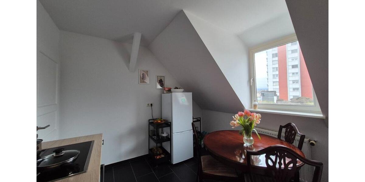 Dachgeschoßwohnung Wiesbaden Biebrich - 2 Zimmer, 60 m&sup2;, 850&euro; | Angebot:25971717