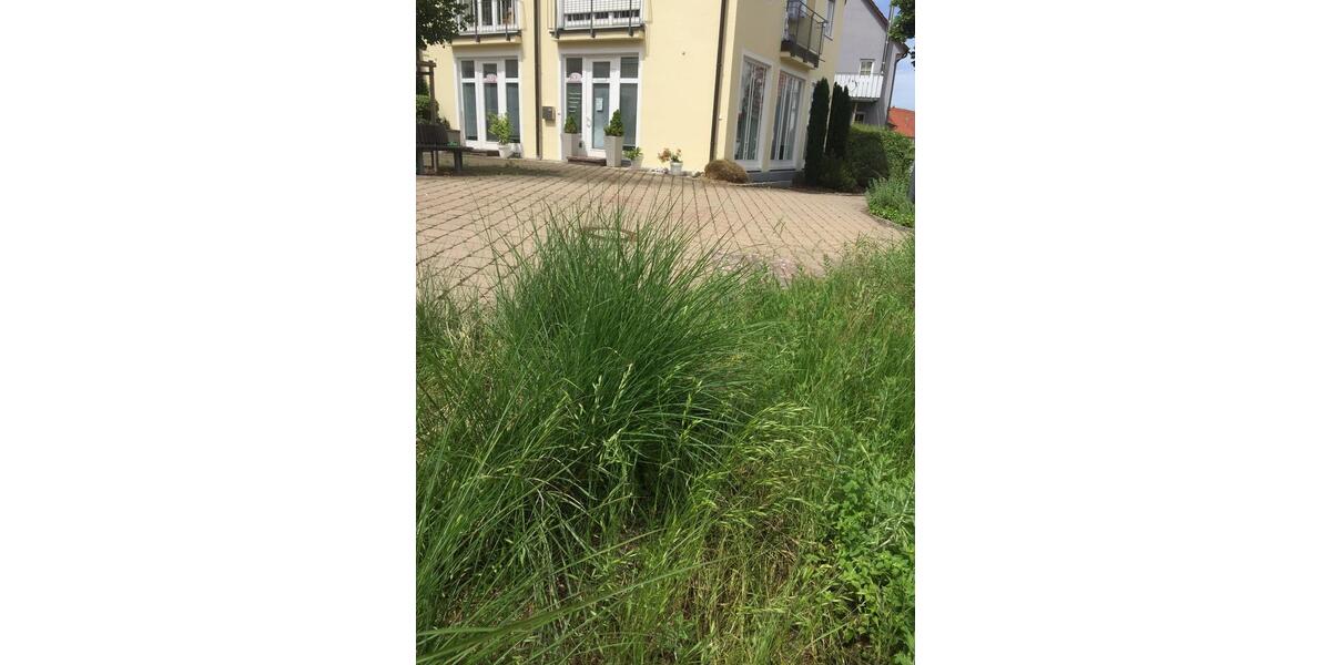 Gewerbeobjekt Albstadt Gemarkung Burgfelden - 840&euro; | Angebot:24553943