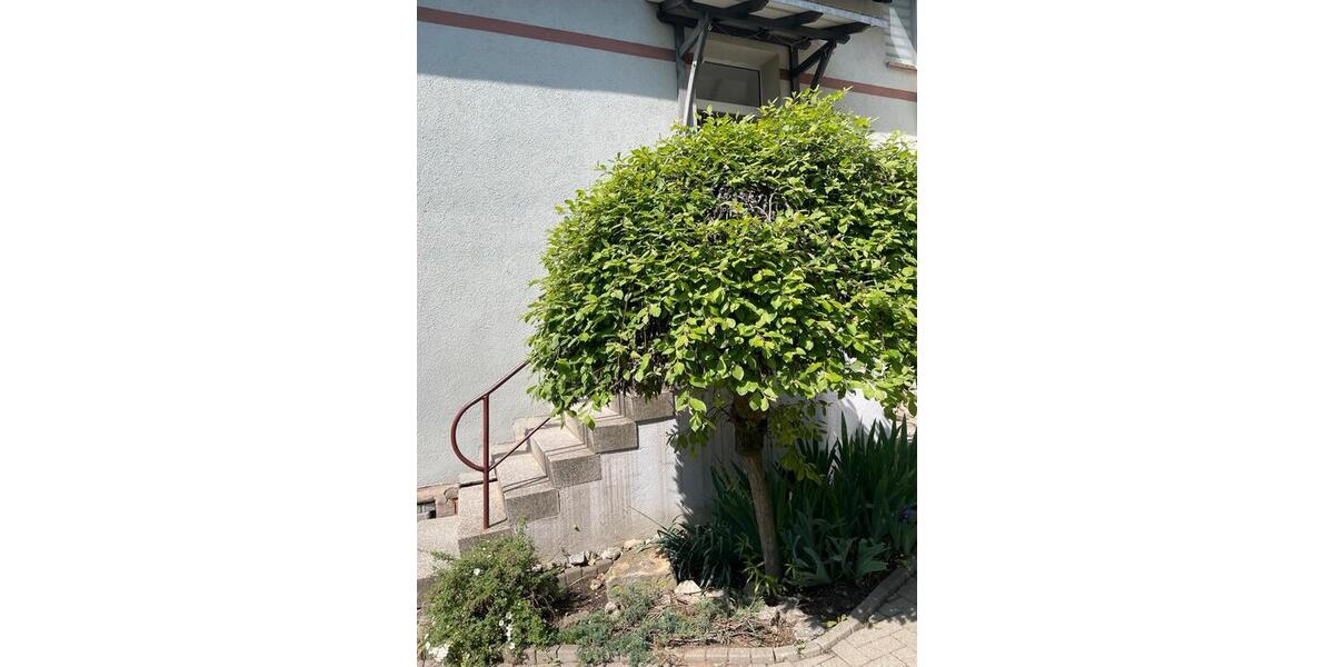 Wohnen auf Zeit Artern - 4 Zimmer, 98 m&sup2;, 59&euro; | Angebot:26580030