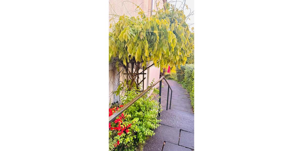 Erdgeschoßwohnung Künzelsau - 2 Zimmer, 60 m&sup2;, 720&euro; | Angebot:26505598