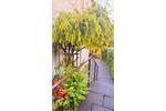 Erdgeschoßwohnung Künzelsau - 2 Zimmer, 60 m&sup2;, 720&euro; | Angebot:26505598