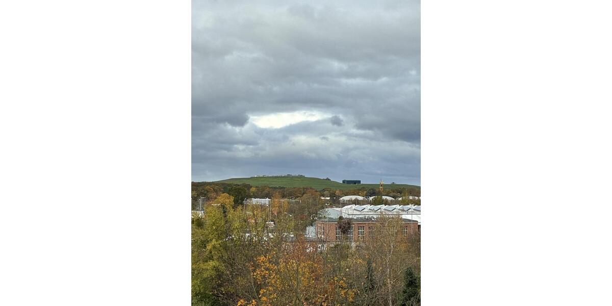 Wohnen auf Zeit Dessau-Roßlau Dessau - 1 Zimmer, 25 m&sup2;, 225&euro; | Angebot:24003069