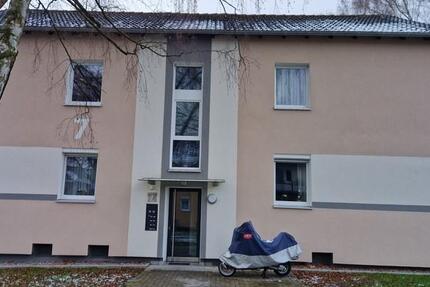 Ansprechende und komplett renovierte 3-Zimmer-Wohnung 3 zimmer