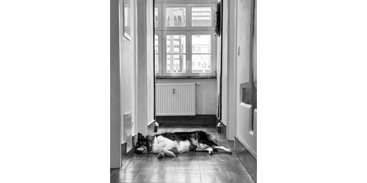 Gewerbeobjekt Karlsruhe Innenstadt-West - 195&euro; | Angebot:26081126