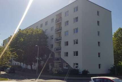Wohnung Greifswald Groß Schönwalde - 1 Zimmer, 20 m&sup2;, 161&euro; | Angebot:25525833