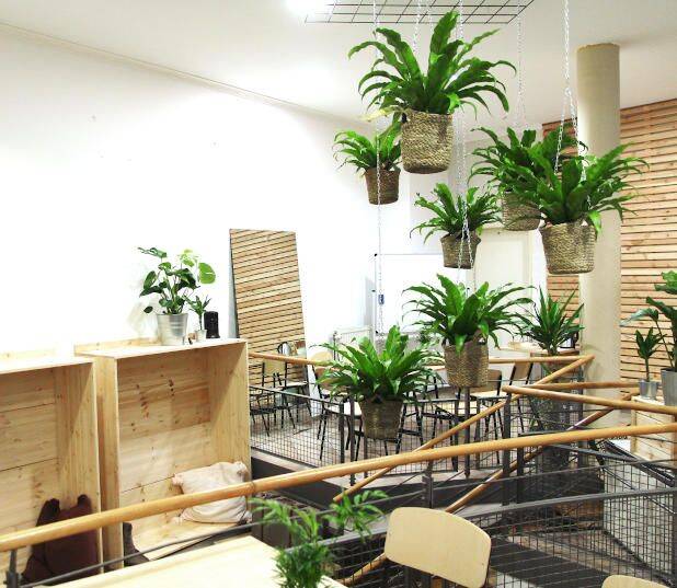 Arbeitsplätze in modernem Coworking Space in schöner Passage - All-in-Miete