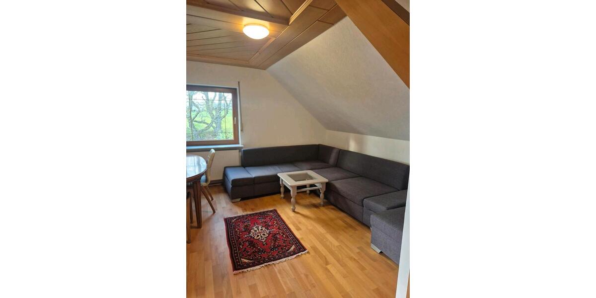 Dachgeschoßwohnung Wetter (Hessen) - 2 Zimmer, 50 m&sup2;, 700&euro; | Angebot:26272068