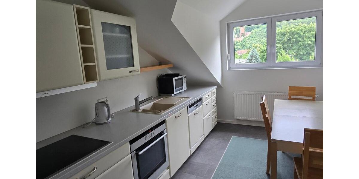 Dachgeschoßwohnung Miltenberg - 2 Zimmer, 40 m&sup2;, 420&euro; | Angebot:24770093