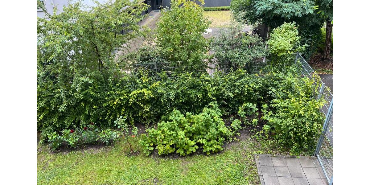 Etagenwohnung Ingolstadt Münchener Straße - 3 Zimmer, 70 m&sup2;, 900&euro; | Angebot:25975860