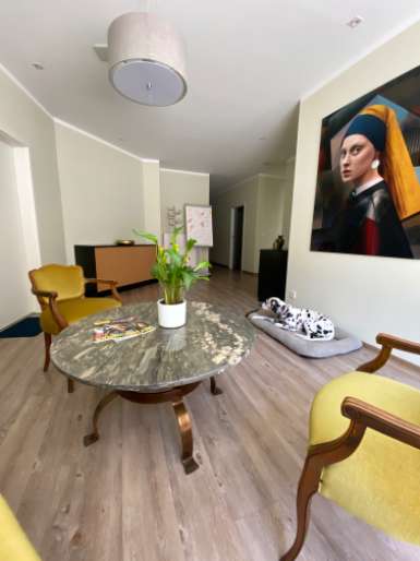 Büro in Lichtenstein-Sachsen 800 € 100 m²