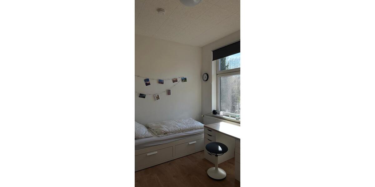 Wohnen auf Zeit Wernigerode - 1 Zimmer, 11 m&sup2;, 340&euro; | Angebot:26176417