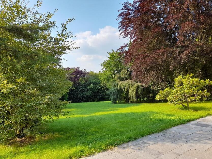 Große Wohnung inmitten von WiesenFeldern zum Wohnen und Arbeiten