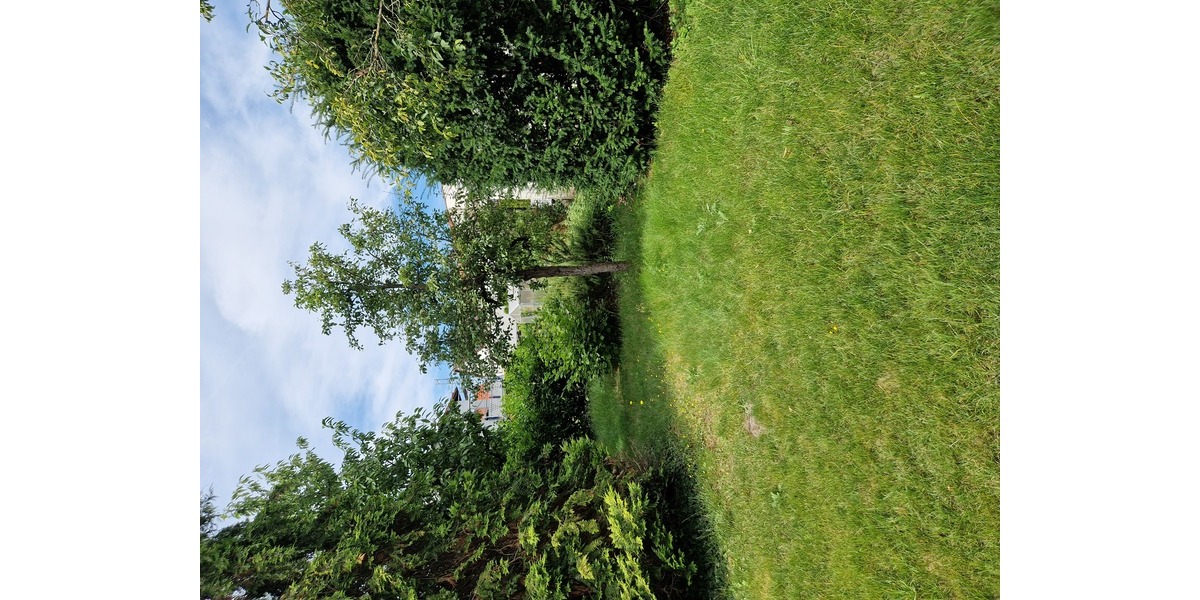 6-Zi-DHH neu saniert, Wärmepumpe, Wallbox-ready, Dämmung, EBK, großer Garten - Einfamilienhaus Stockstadt am Main | Angebot:26986202