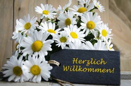 Wohnung Datteln - 2 Zimmer, 67 m&sup2;, 570&euro; | Angebot:26821857
