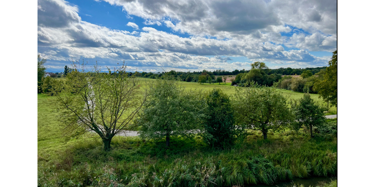 Reihenmittelhaus (RHM) im Quartier 