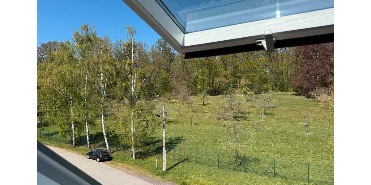 Dachgeschoßwohnung Grimma - 2 Zimmer, 42 m&sup2;, 294&euro; | Angebot:26483321