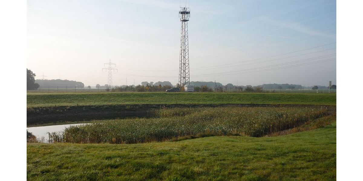 Interessante Lagerhalle mit Laderampen u. Bürofläche - Gewerbeobjekt Steyerberg | Angebot:26858109