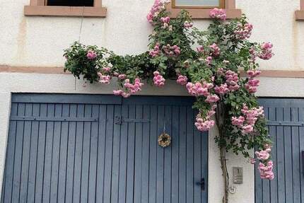 Haus Otzberg-Ober-Klingen Ober-Klingen - 6 Zimmer, 167 m&sup2;, 1.500&euro; | Angebot:25777542