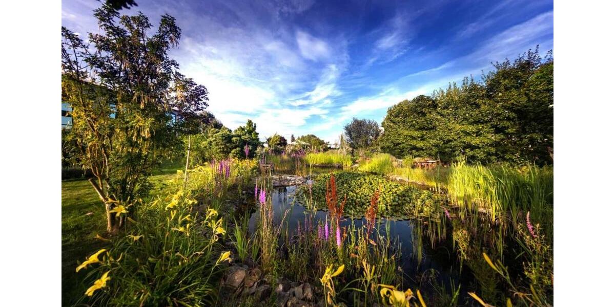 Wunderschöne Büroflächen in atemberaubendem Ambiente zimmer