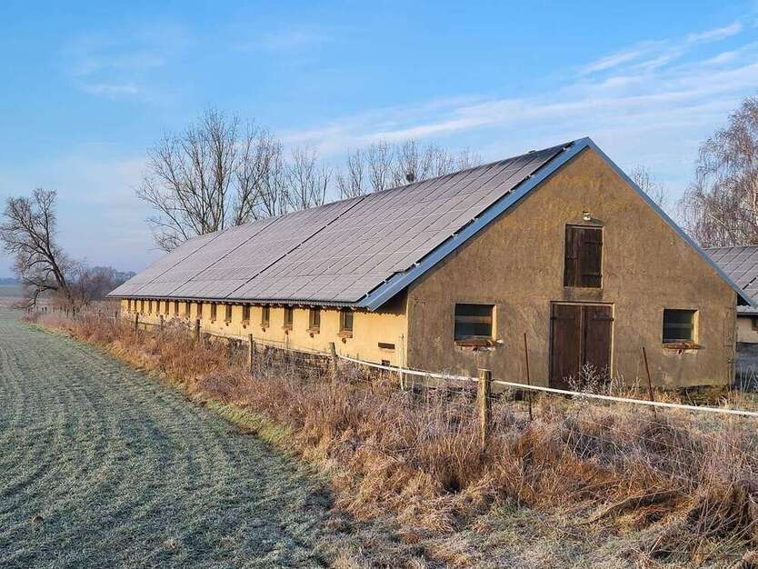 Halle in Brandenburg - Gransee 850 € 335 m²