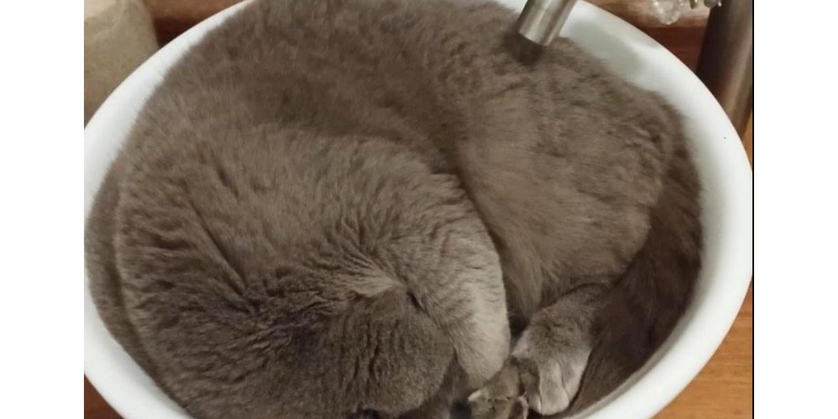 Erdgeschoßwohnung Sottrum - 1 Zimmer, 90 m&sup2;, 250&euro; | Angebot:24463974