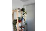 Wohnen auf Zeit Eppelheim - 3 Zimmer, 15 m&sup2;, 540&euro; | Angebot:26395638