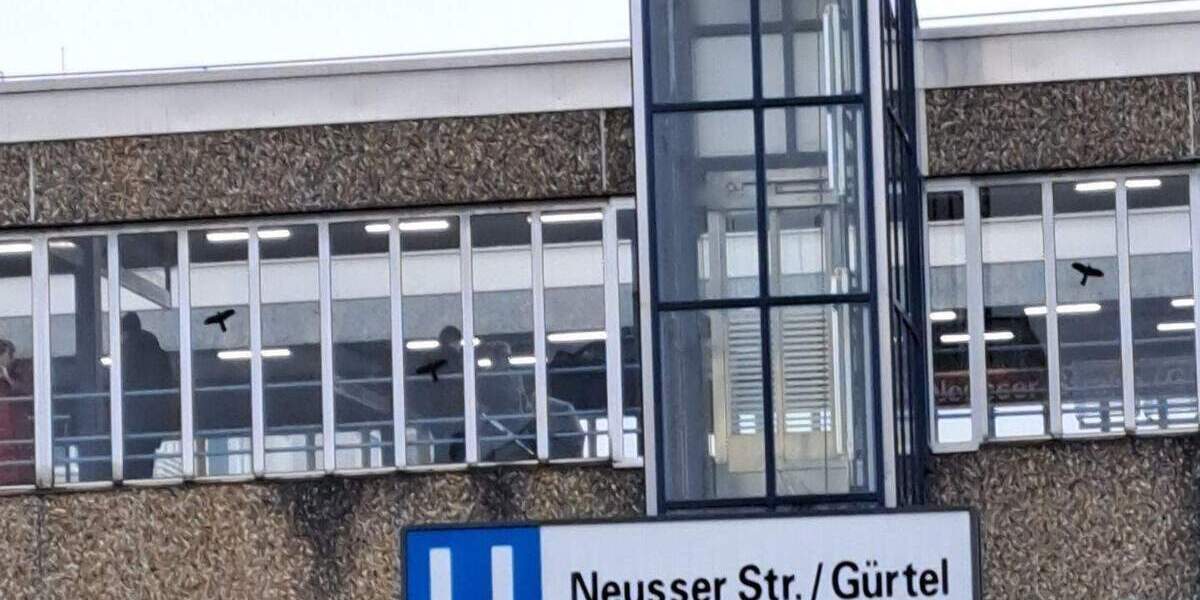 Zimmer Köln Weidenpesch - 1 Zimmer, 22 m&sup2;, 580&euro; | Angebot:25970561