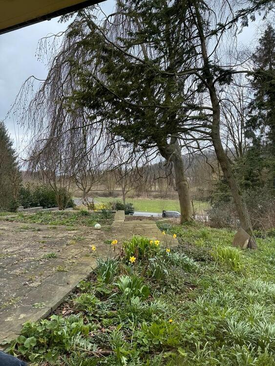 Helle 3-Zimmer Wohnung mit großem Garten