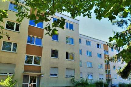 Wohnung Frankenthal (Pfalz) Frankenthal Kernstadt - 3 Zimmer, 71 m&sup2;, 749&euro; | Angebot:26688245