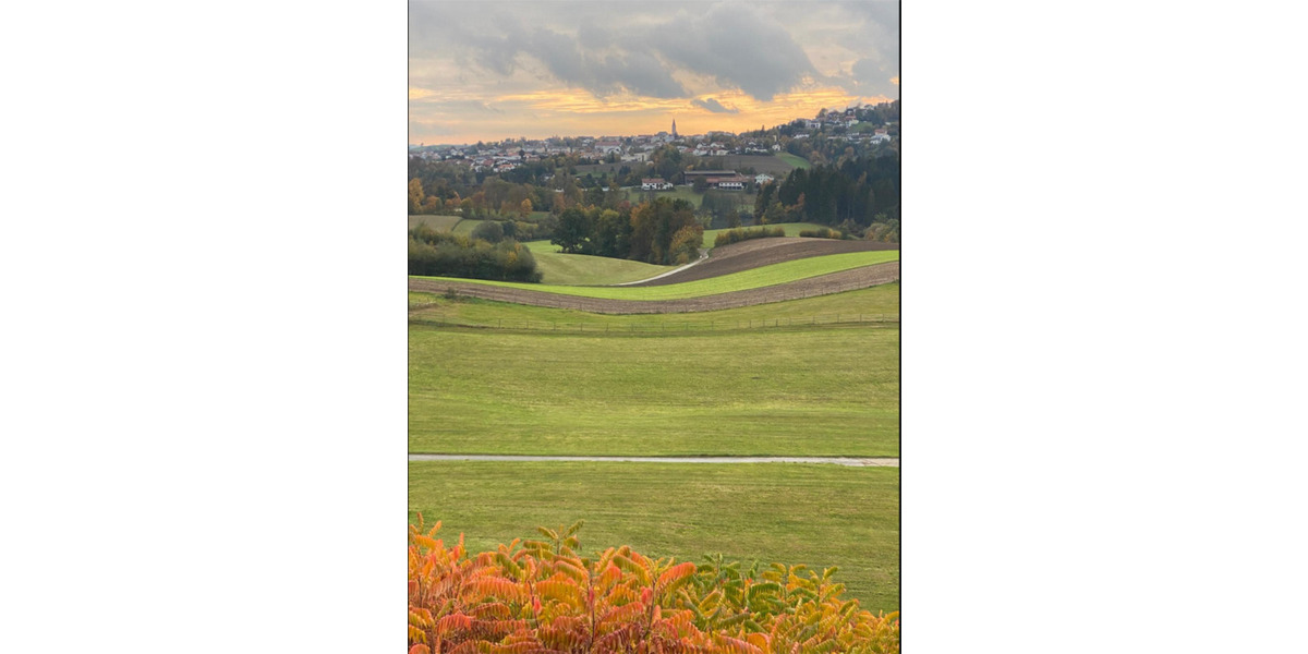 Gewerbeobjekt Hauzenberg - 888&euro; | Angebot:25875915