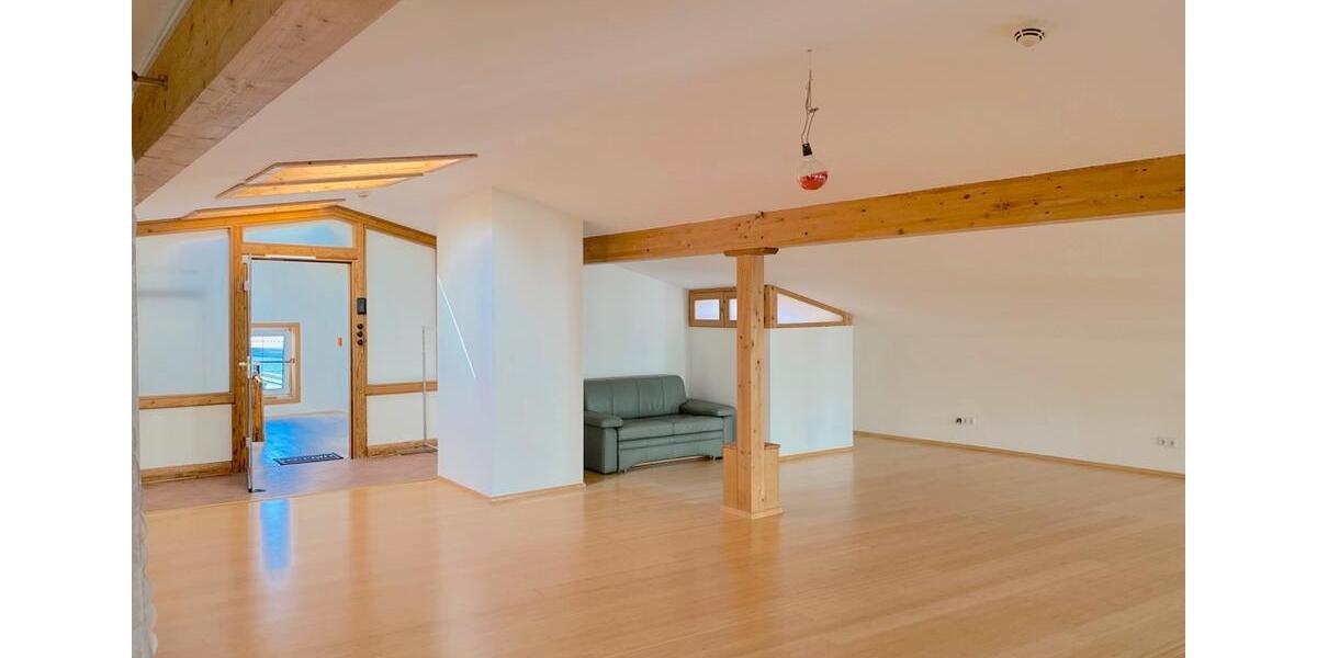 Single-Loft-Wohnung mit Nebenraum 1 zimmer