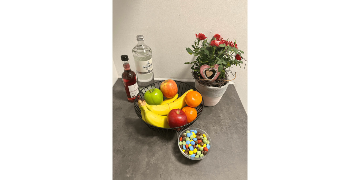 Erdgeschoßwohnung Wismar Altstadt - 1 Zimmer, 22 m&sup2;, 550&euro; | Angebot:25860492